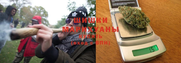 гидра Белокуриха