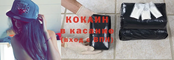 прущие грибы Балахна