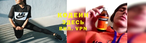 прущие грибы Балахна