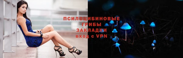 гидра Белокуриха