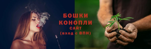 гидра Белокуриха
