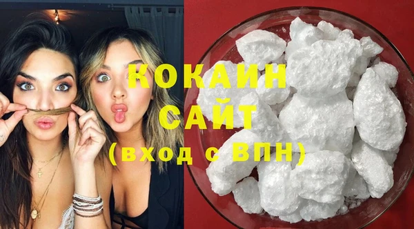 гидра Белокуриха