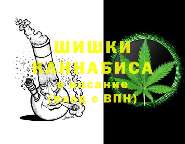 прущие грибы Балахна